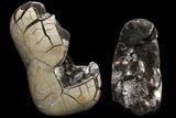 Polished Septarian Geode - Removable Section #79335-2
